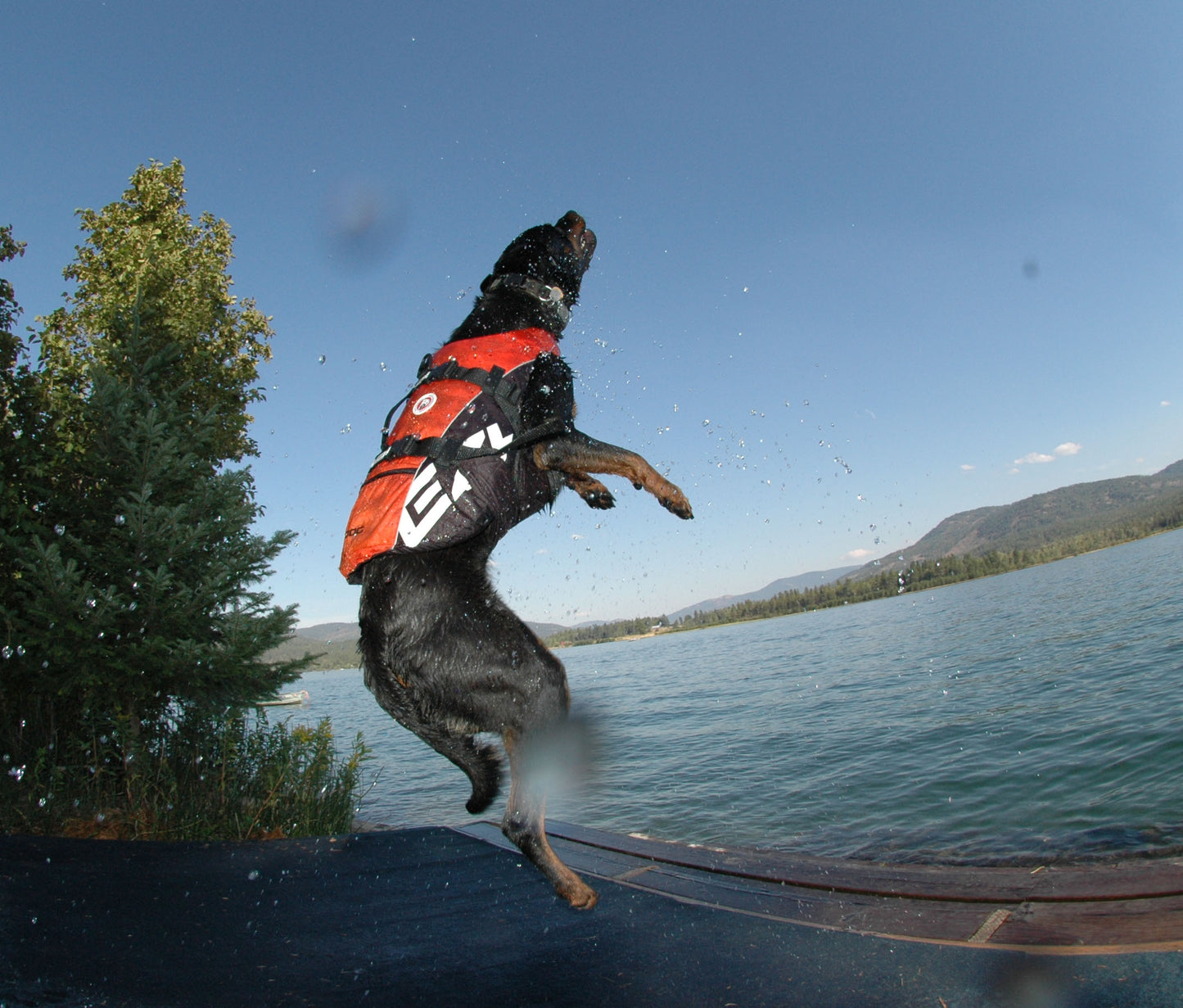 DFD (Dog Floating Device)