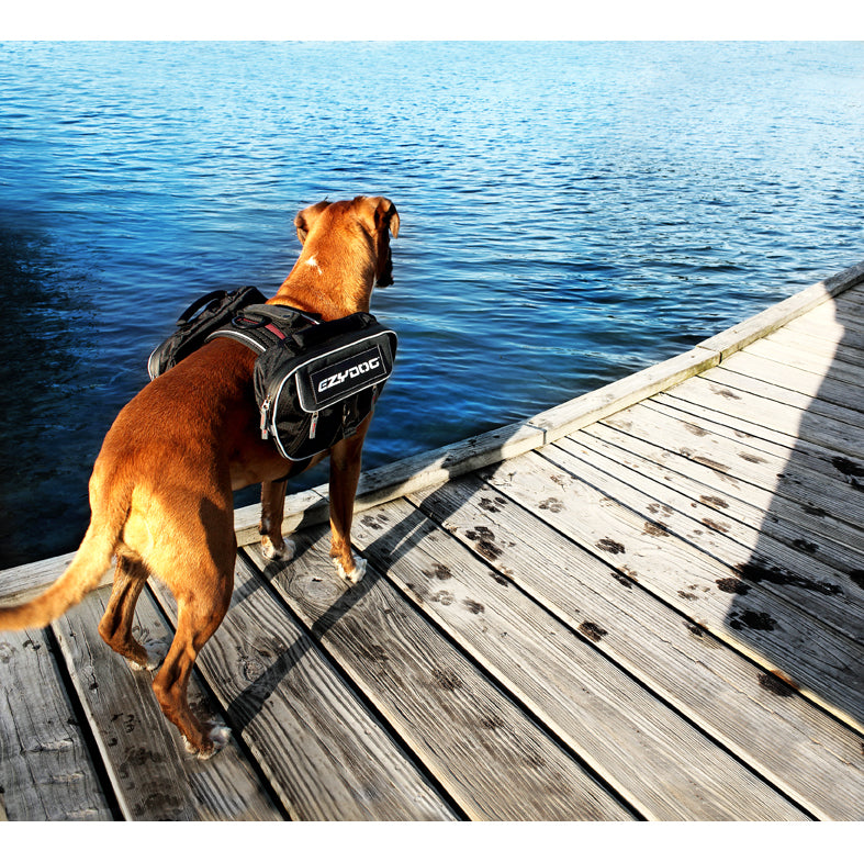 Ezydog saddlebags on sale