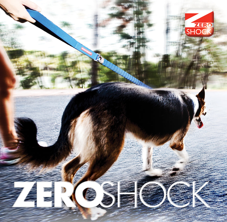 Zero Shock Leash