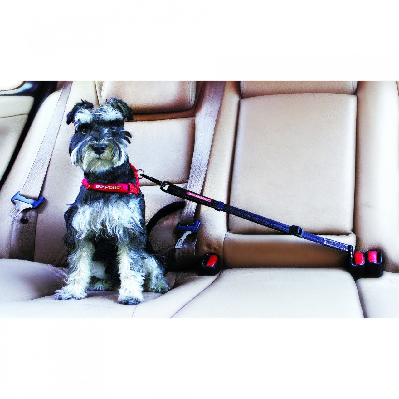 Dog car safety belt harness sale attachment